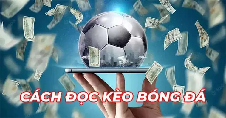 Nắm Vững Cách Cá Cược Bóng Đá F8Bet Để Thắng Lớn Mỗi Ngày 1 Nắm Vững Cách Cá Cược Bóng Đá F8Bet Để Thắng Lớn Mỗi Ngày